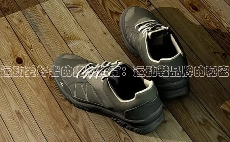 米兰网页版在线登录极氪智能科技运动爱好者的终极指南：运动鞋品牌的秘密