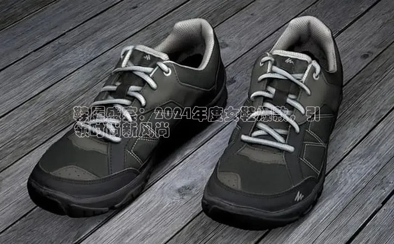 米兰官网首页登录入口百度Apollo鞋履盛宴：2024年度女鞋爆款，引
领时尚新风尚