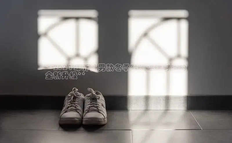 米兰体育下载地址百度网盘企业版**2024 年乔丹男款冬季鞋：温暖时尚的
全新升级**