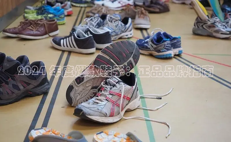 米兰体育彩票是正规的吗百度学术2024 年度爆款鞋子：正品品牌指南