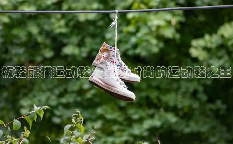 米兰体育顺丰板鞋熊猫运动鞋：舒适时尚的运动鞋之王