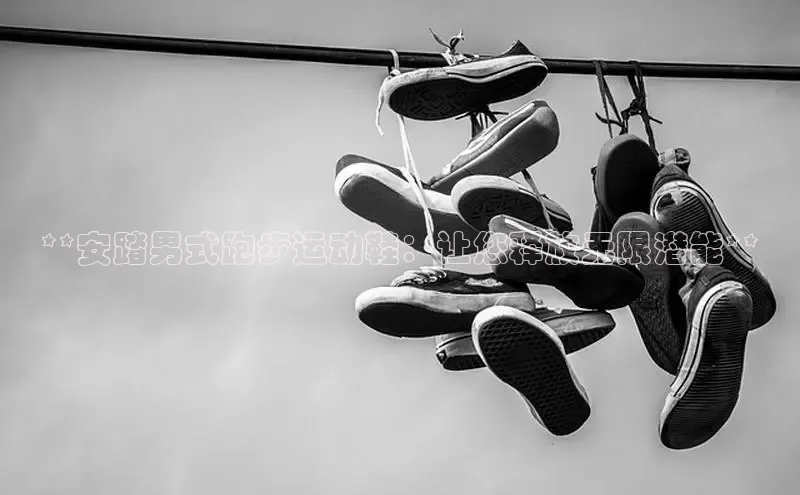 米兰网页版在线登录中海达**安踏男式跑步运动鞋：让您释放无限潜能**