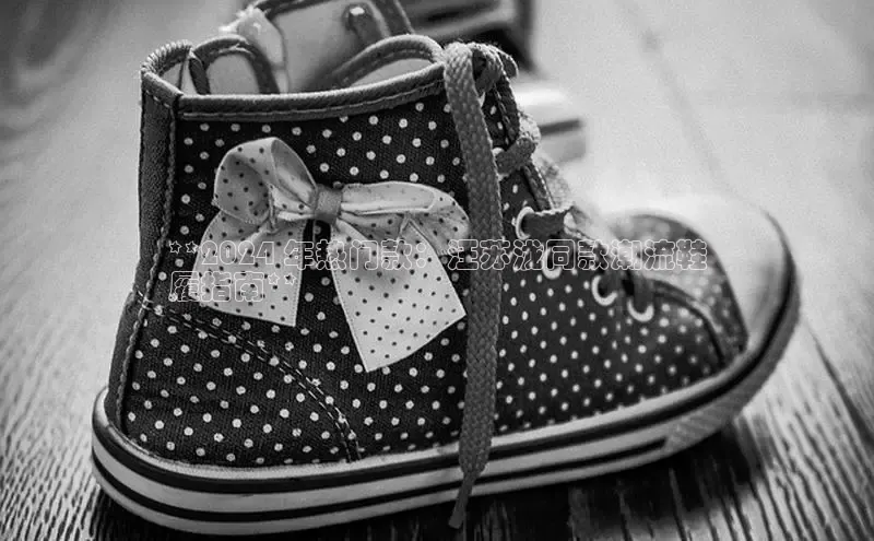 米兰官方手机app网站阿里尔公司**2024 年热门款：汪苏泷同款潮流鞋
履指南**