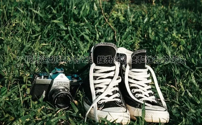 米兰体育app手机下载百度手机输入法**优质运动鞋内衬布：提升舒适度和性能的秘诀
**