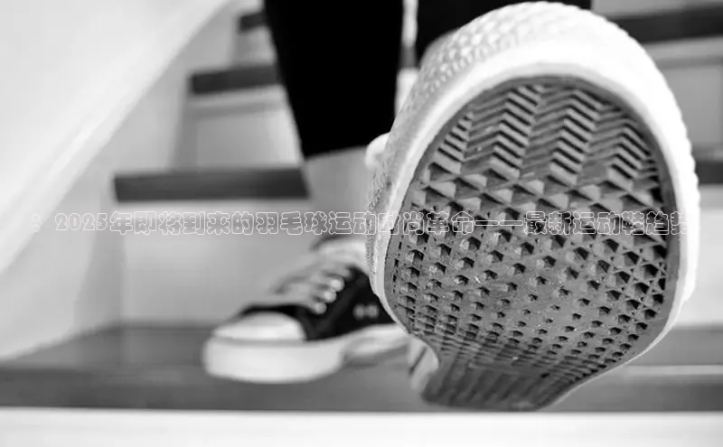：2025年即将到来的羽毛球运动时尚革命——最新运动鞋趋势