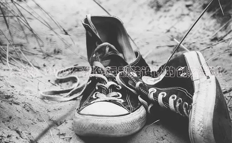 未来：2025年绿色运动鞋设计的创新尝试